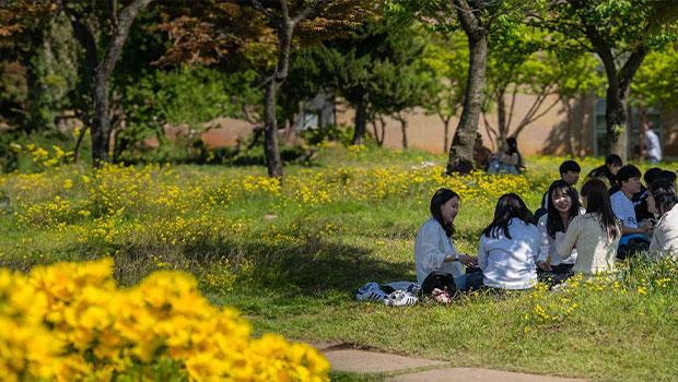 2025년 3월 비주얼영역 이미지 대표이미지