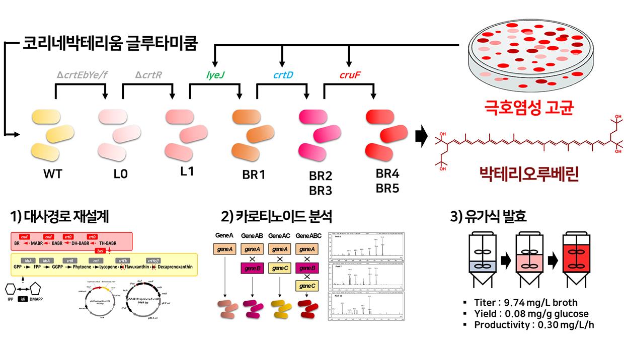 Professor Myungji Seo’s Research Team at Incheon N 대표이미지